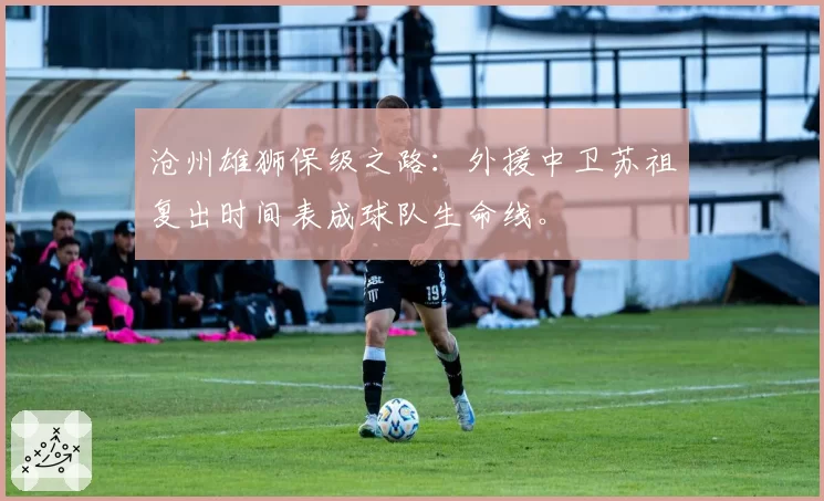 沧州雄狮保级之路：外援中卫苏祖复出时间表成球队生命线。