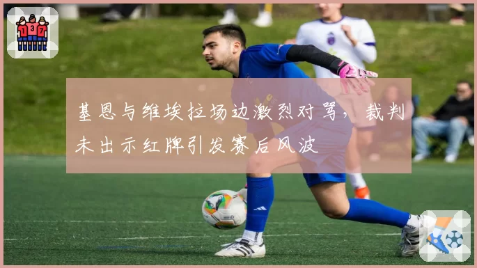基恩与维埃拉场边激烈对骂,裁判未出示红牌引发赛后风波