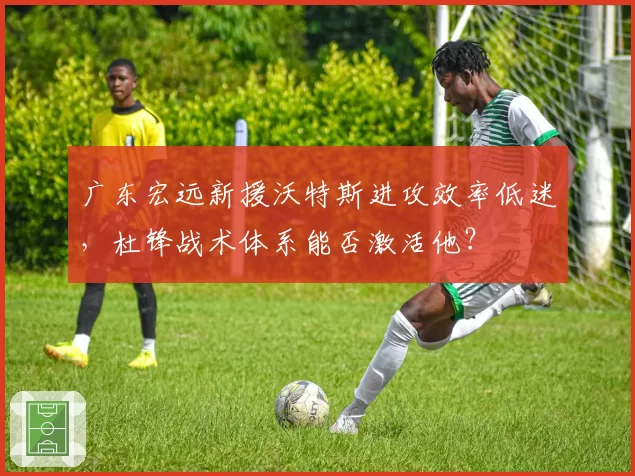 广东宏远新援沃特斯进攻效率低迷,杜锋战术体系能否激活他?
